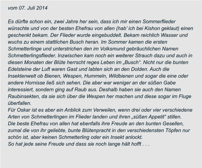 vom 07. Juli 2014  Es dürfte schon ein, zwei Jahre her sein, dass ich mir einen Sommerflieder  wünschte und von der besten Ehefrau von allen (hab’ ich bei Kishon geklaut) einen  geschenkt bekam. Der Flieder wurde eingebuddelt. Bekam reichlich Wasser und  wuchs zu einem stattlichen Busch heran. Im Sommer kamen die ersten  Schmetterlinge und unterstrichen den im Volksmund gebräuchlichen Namen  Schmetterlingsflieder. Inzwischen kam noch ein weiterer Strauch dazu und auch in  diesen Monaten der Blüte herrscht reges Leben im „Busch“. Nicht nur die bunten  Edelsteine der Luft waren Gast und labten sich an den Dolden. Auch die  Insektenwelt ob Bienen, Wespen, Hummeln, Wildbienen und sogar die eine oder  andere Hornisse ließ sich sehen. Die aber war weniger an der süßen Gabe  interessiert, sondern ging auf Raub aus. Deshalb haben sie auch den Namen  Raubinsekten, da sie sich über die Wespen her machen und diese sogar im Fluge  überfallen. Für Oskar ist es aber ein Anblick zum Verweilen, wenn drei oder vier verschiedene  Arten von Schmetterlingen im Flieder landen und ihren „süßen Appetit“ stillen. Die beste Ehefrau von allen hat ebenfalls ihre Freude an den bunten Gesellen,  zumal die von ihr geliebte, bunte Blütenpracht in den verschiedensten Töpfen nur  schön ist, aber keinen Schmetterling oder ein Insekt anlockt. So hat jede seine Freude und dass sie noch lange hält hofft . . .